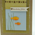 Birthday Fishes