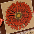 Hello Flower Card