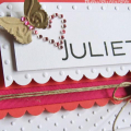 February Blog Hop baby card to match egg carton gift set