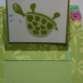 Turtle Get Well Inside