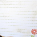 Stamps: Wise Owl, Journaling Lines
Supplies: DCWV (Green Stack); Making Memories (letter stickers); Copic Markers; Buttons from my stash; Nestabilities (Labels 1); CTMH Ink (Sweet Leaf, Tulip);...