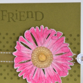 tamps:  Friends 'Til the End, Polka Dot Basics
Paper: PTI Ripe Avocado & Stamper's Select white cardstock,
Ink:  PTI Ripe Avocado, SU! Watercolor Wonder crayons - rose red, regal rose, summer...