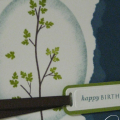 Out On A Limb - Serene Birthday