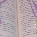 emilias bookmark 003
