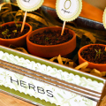 Jen Caputo - Mother's Day Herb Box
------------
Everything here I found in the $1 aisle at Target (the tin, the pots, and seed packets). Total of $4 at Target + 1 sheet of paper, some ink and...
