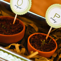 Jen Caputo - Mother's Day Herb Box
------------
Everything here I found in the $1 aisle at Target (the tin, the pots, and seed packets). Total of $4 at Target + 1 sheet of paper, some ink and...