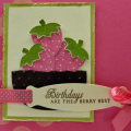 I love Hibiscus Burst! Polka dots are stamped in vintage cream.