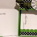 Playing with my new stuff: Template, New Leaf and Simply Stationery.  Love the black and white pattern paper with new leaf.