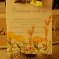 weddinginvites2
