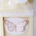 butterfly card set 1