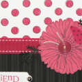 Raspberry Suite Color Challenge #5
Supplies {all Papertrey Ink, unless otherwise indicated}
Paper: Smokey Shadow, Hibiscus Burst, Raspberry Fizz, White
Stamps: Friends til the End, Polka Dot...