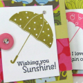 Raspberry Suite Color Challenge set of notecards