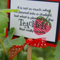 teacher planter