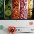 tcuccia-buttons-front