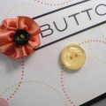 tcuccia-buttons-up-close