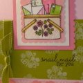 Snail Mail in Pink