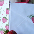 Tiny notebook and envelopes